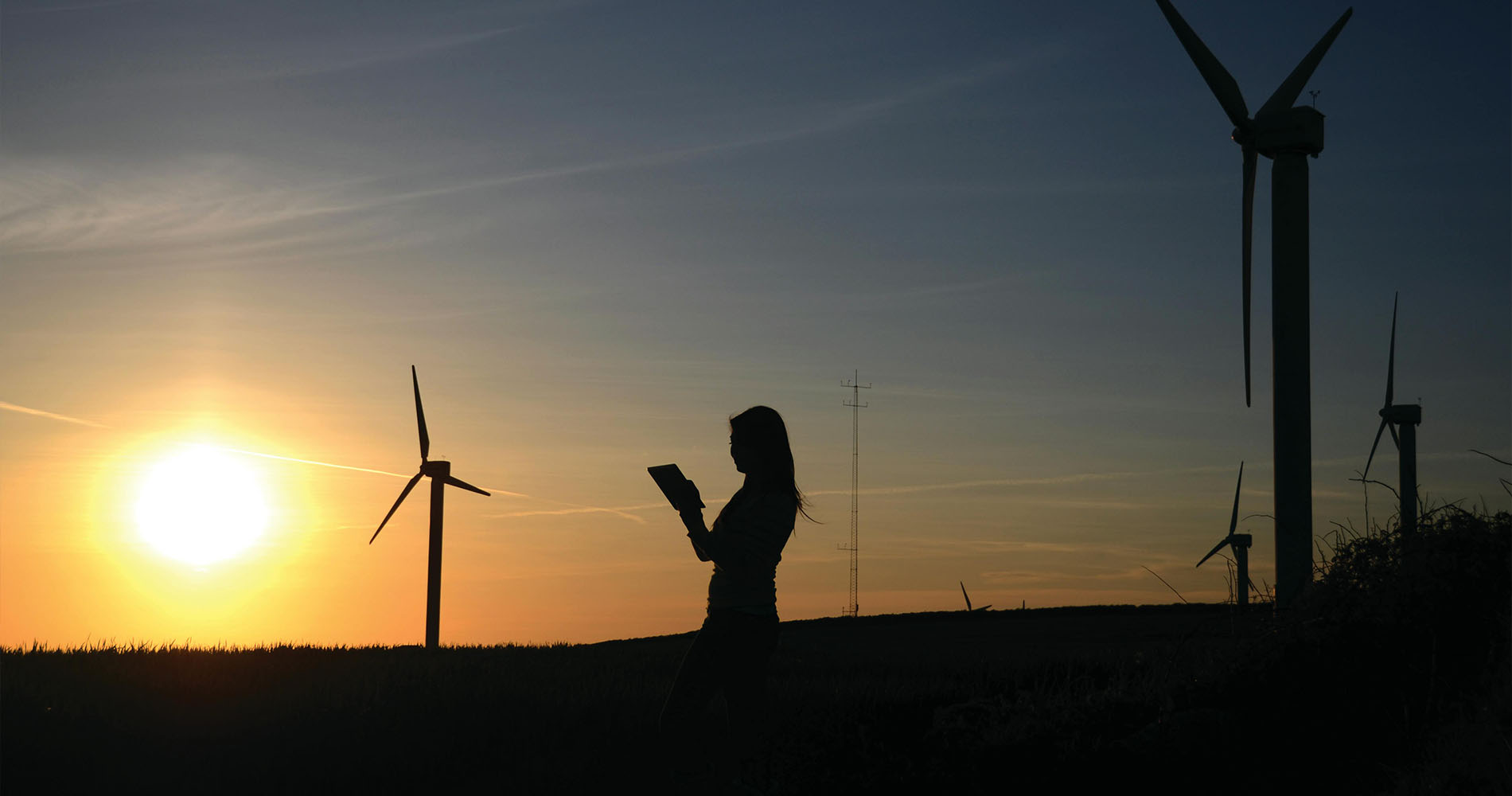 Frau mit Tablet vor Windrädern bei Sonnenuntergang – Symbolbild für BWL Berufe im Bereich Nachhaltigkeitsmanager.