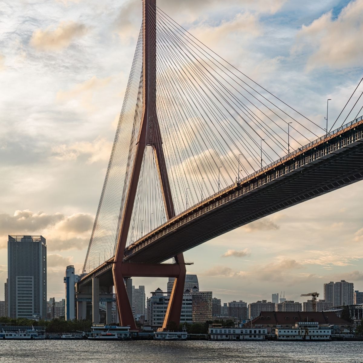 Shanghai – Yangpu-Brücke, eine imposante Schrägseilbrücke über den Huangpu-Fluss vor bewölktem Abendhimmel.