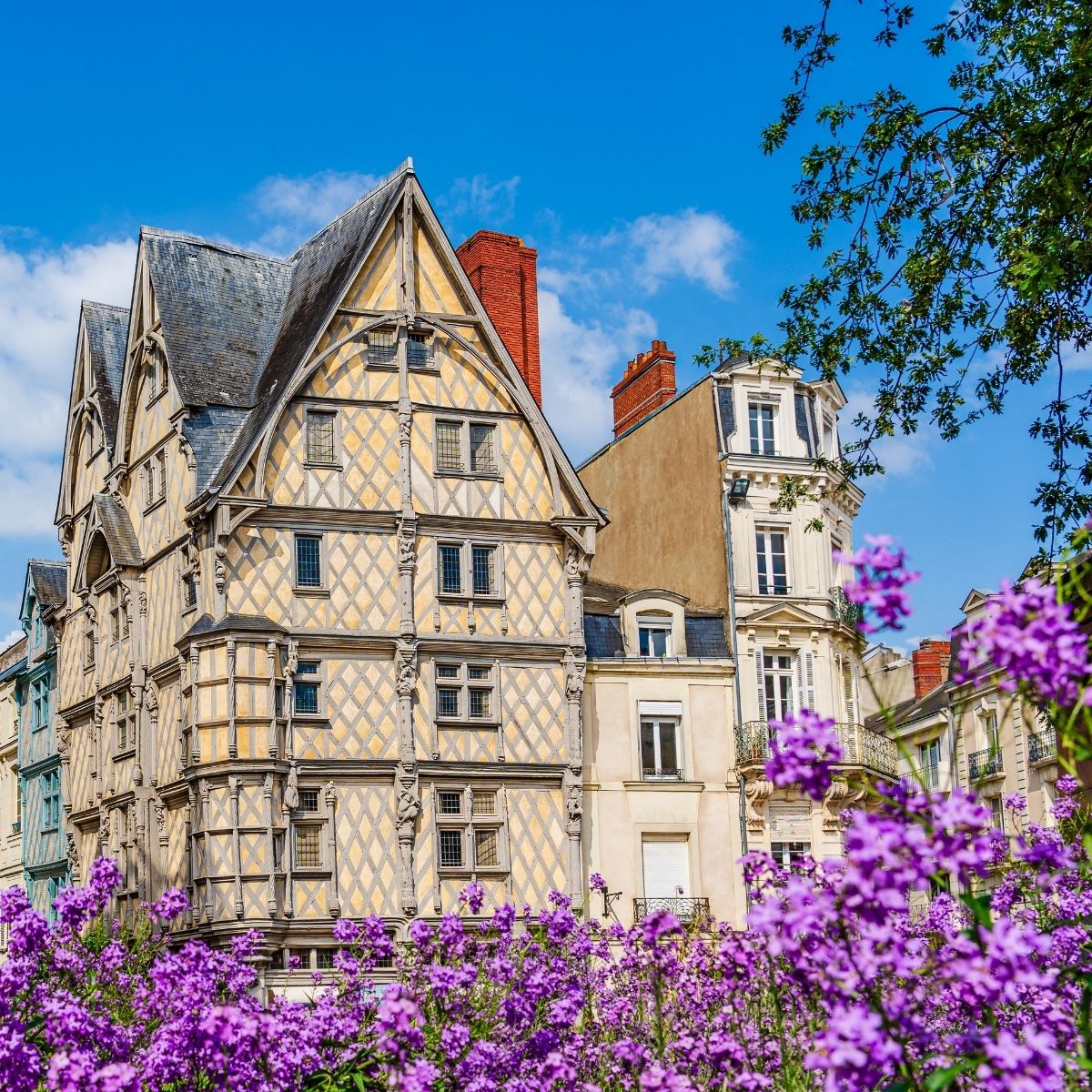 Angers – Mittelalterliches Fachwerkhaus mit Rautendekor vor lila blühenden Blumen im Frühlingslicht.