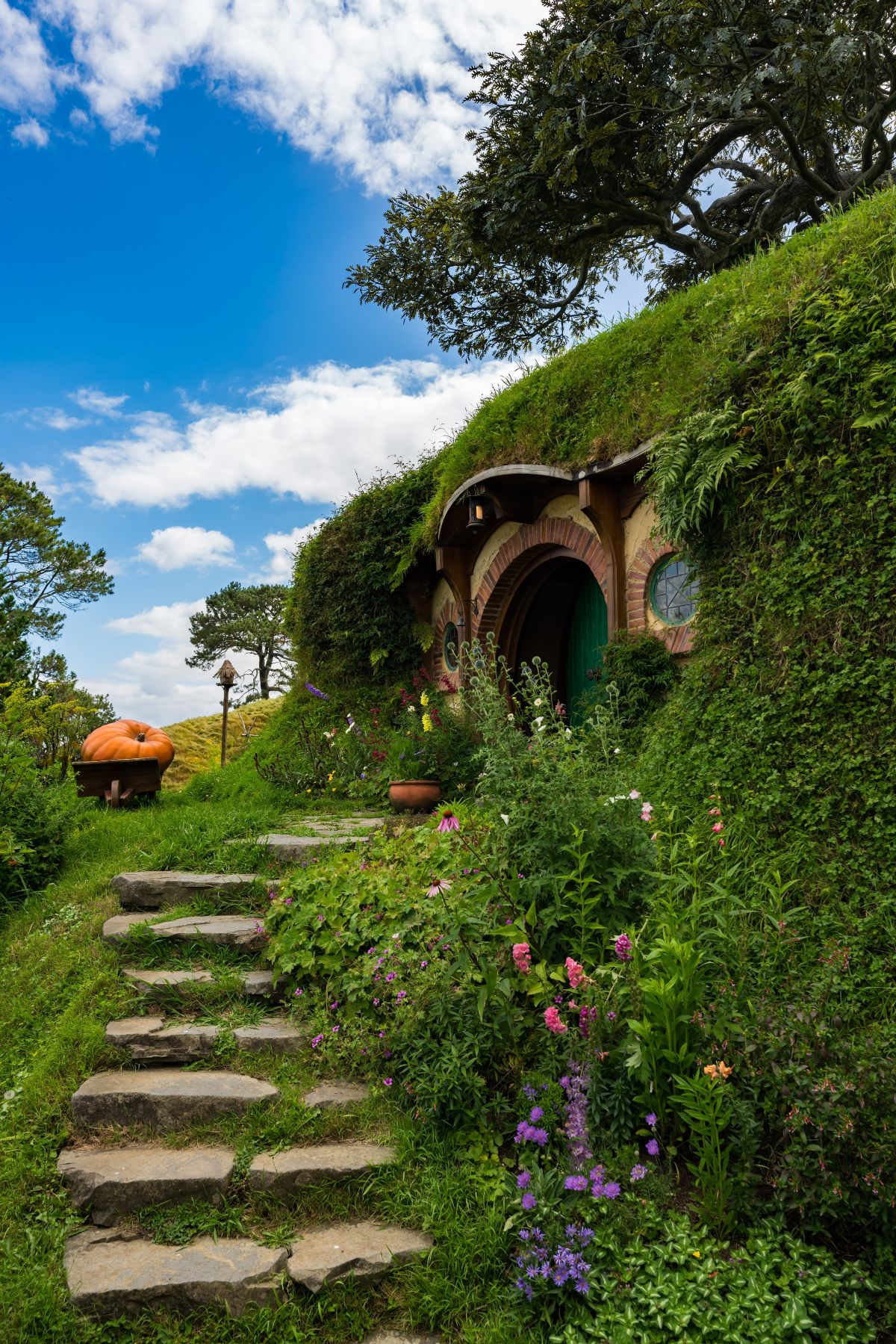 Hobbit-Haus in grüner Landschaft – einzigartige Natur und Kultur beim Studieren in Neuseeland entdecken.