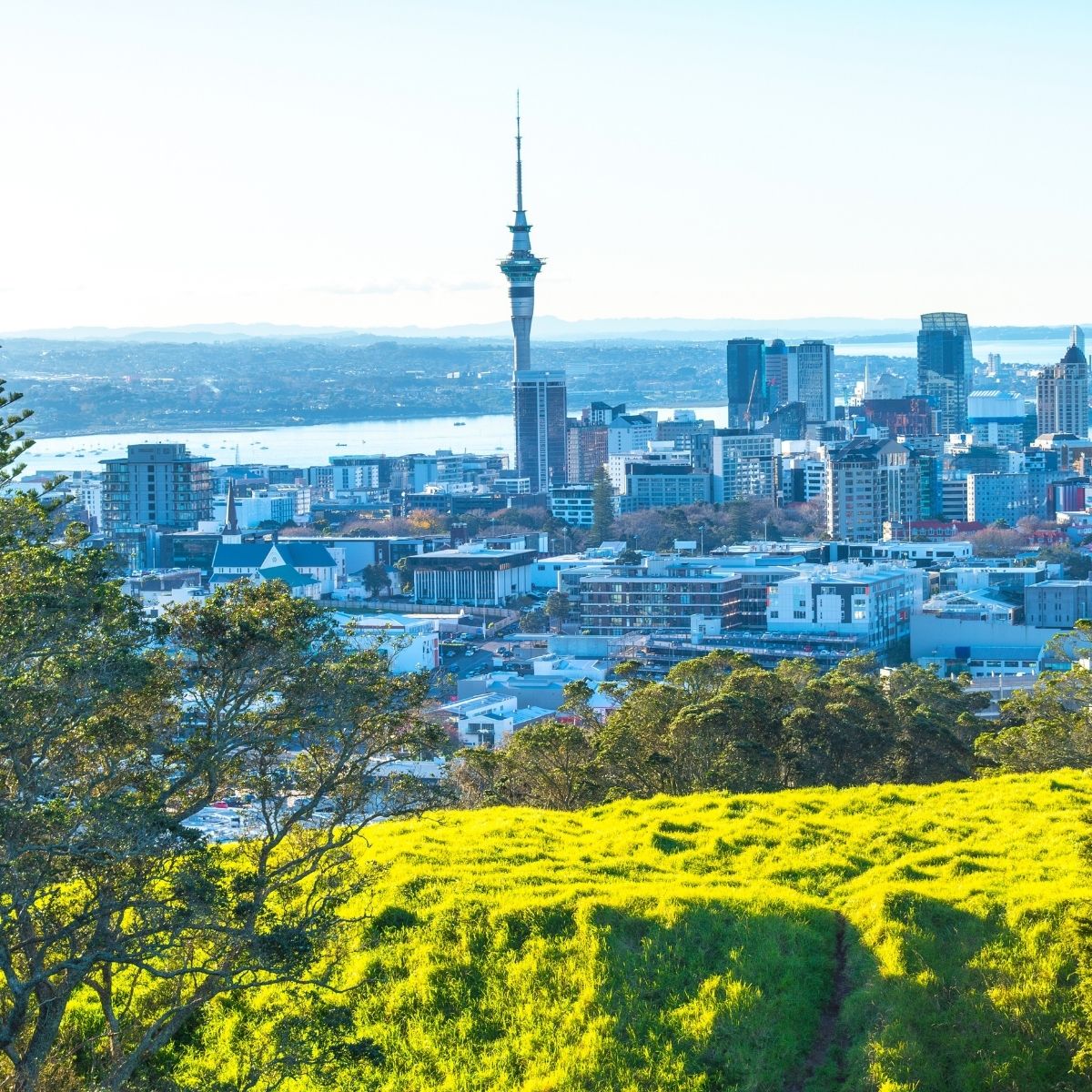 Skyline von Auckland mit grünen Hügeln – modernes Stadtleben beim Studieren in Neuseeland erleben.