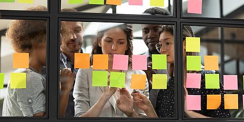 Certified Agile Project Manager