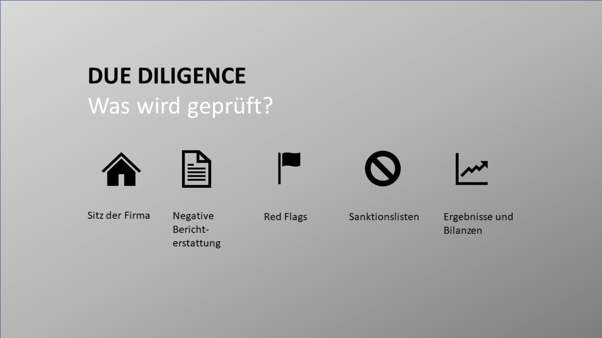 Sitzer der Firma, Berichterstattung, Red Flags oder Sanktionslisten werden bei einer Due Diligence geprüft.