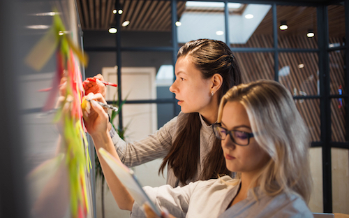 Mitarbeit im Start-up oder im Start-up-Ökosystem