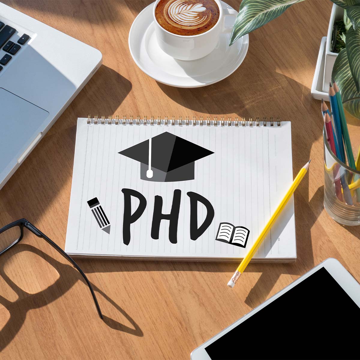 phd in international business in germany