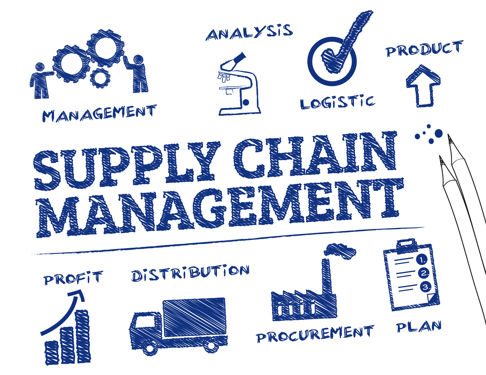 The Evolution Of The Procurement And Supply Functions