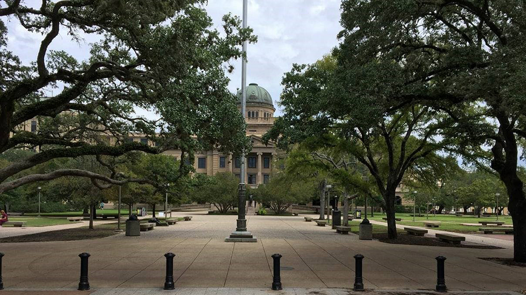 MBS Jonas Texas A&M