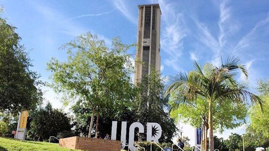 MBS CRittmann UCR