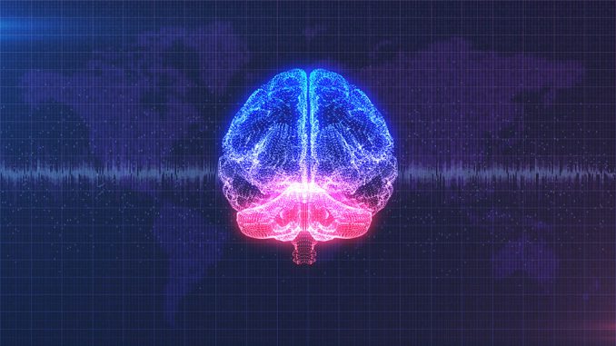 Munich Business School: NeuroTech NeuroTech: Stylized view of a brain with different colored streams and brain waves