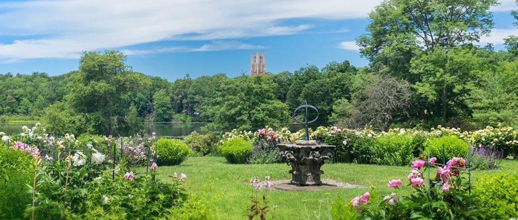 Spend the summer in the grounds of Wellesley College