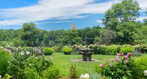 Spend the summer in the grounds of Wellesley College