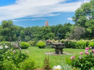 Spend the summer in the grounds of Wellesley College