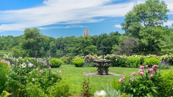 Spend the summer in the grounds of Wellesley College