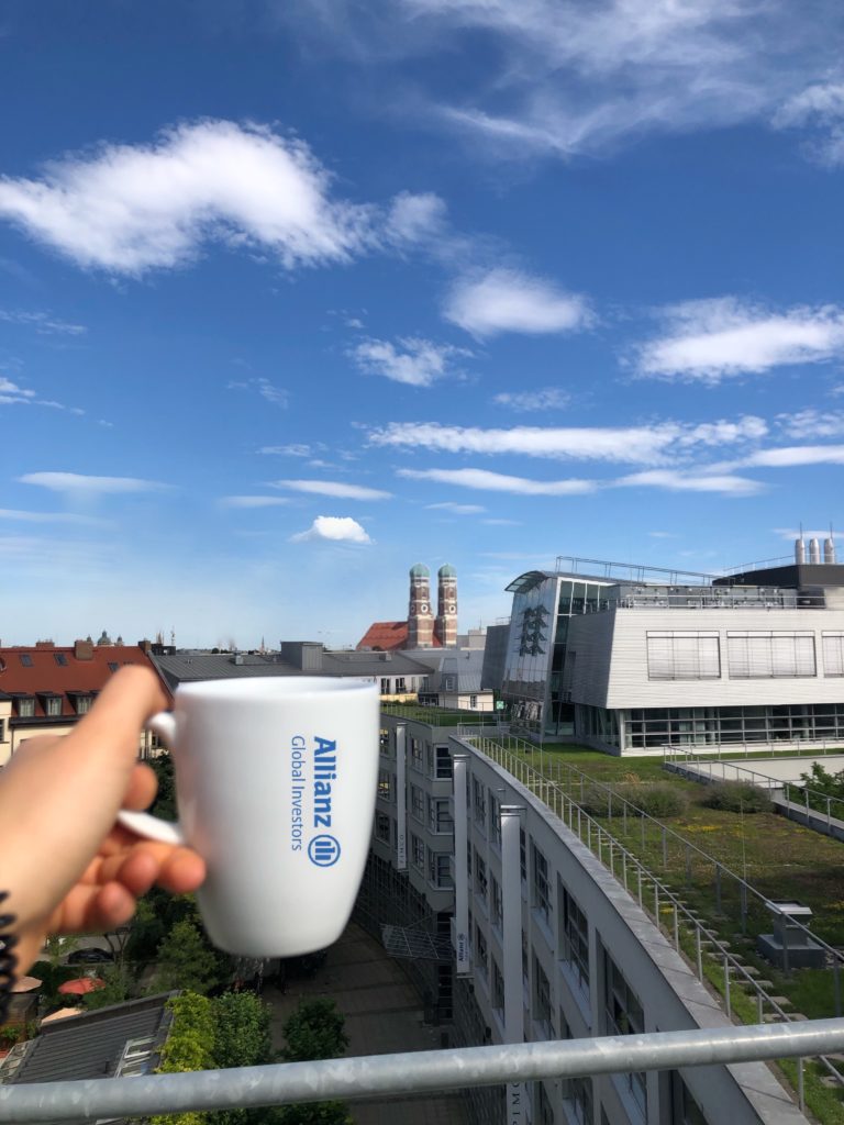 View from the rooftop of the Allianz building