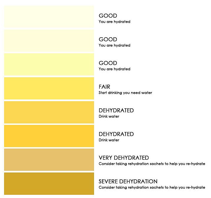 Urine chart: Different shades of yellow that indicate how hydrated you are. 