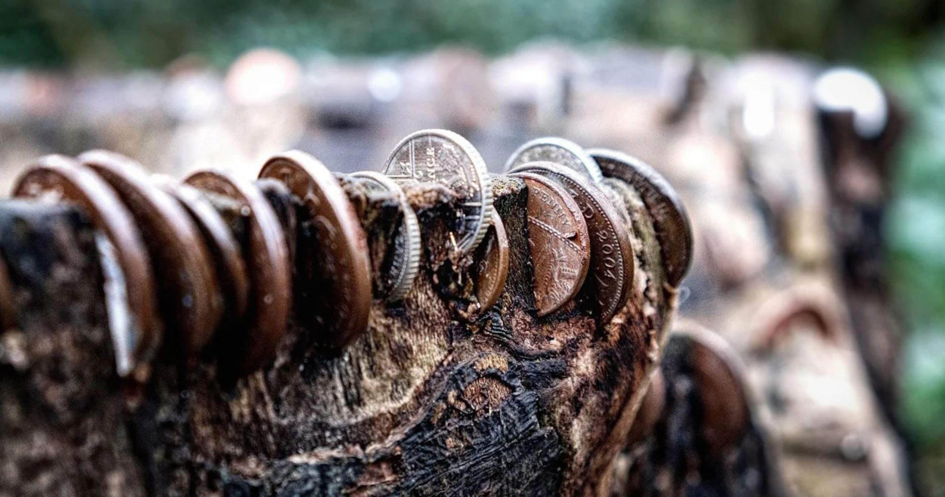 https://www.munich-business-school.de/insights/wp-content/uploads/2026/10/Natural-Risk-Analysis-in-Finance-Money-in-tree-trunk.jpg
